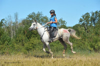 Vente de cheval : Allegria de la charme